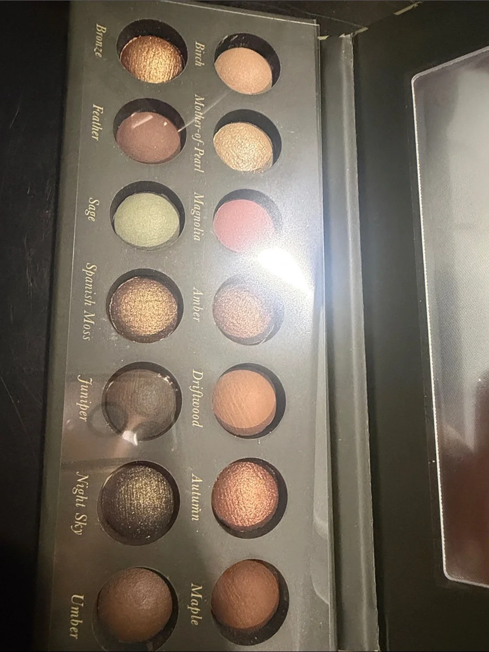 Laura Geller Baked Eyeshadow Palette Earthy Essential brand new